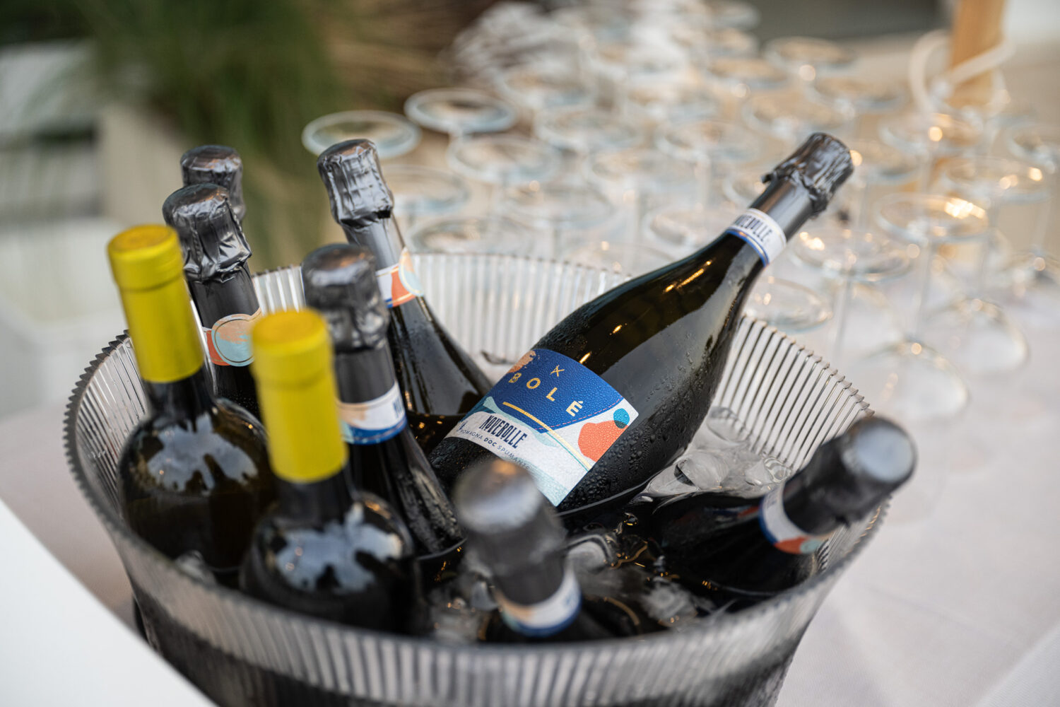 degustazione vini romagnoli in hotel 3 stelle a bellaria sul mare